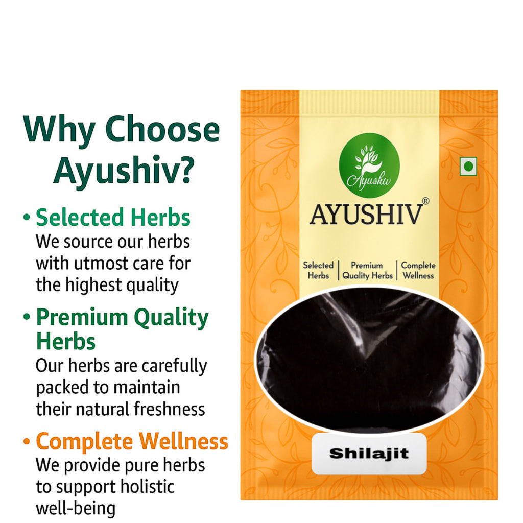 Ayushiv Shilajit Resin | Pure Himalayan Shilajit | Mineral Rich